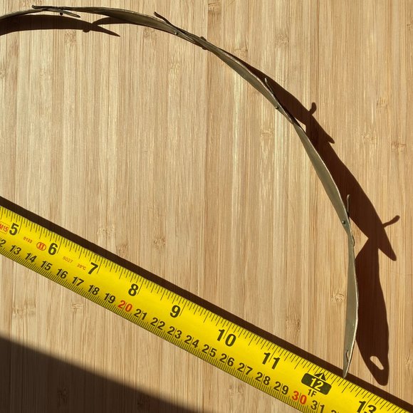 Michael Michaud Eucalyptus Collar - Picture 5 of 5